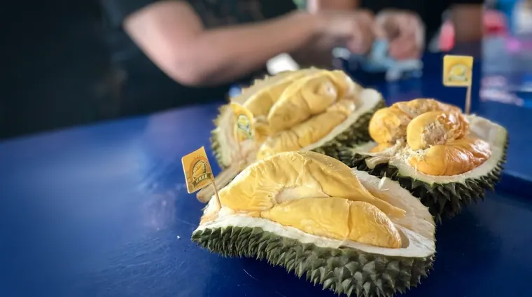 Penang Durian Farm Trail: Tastings & Local Cuisine